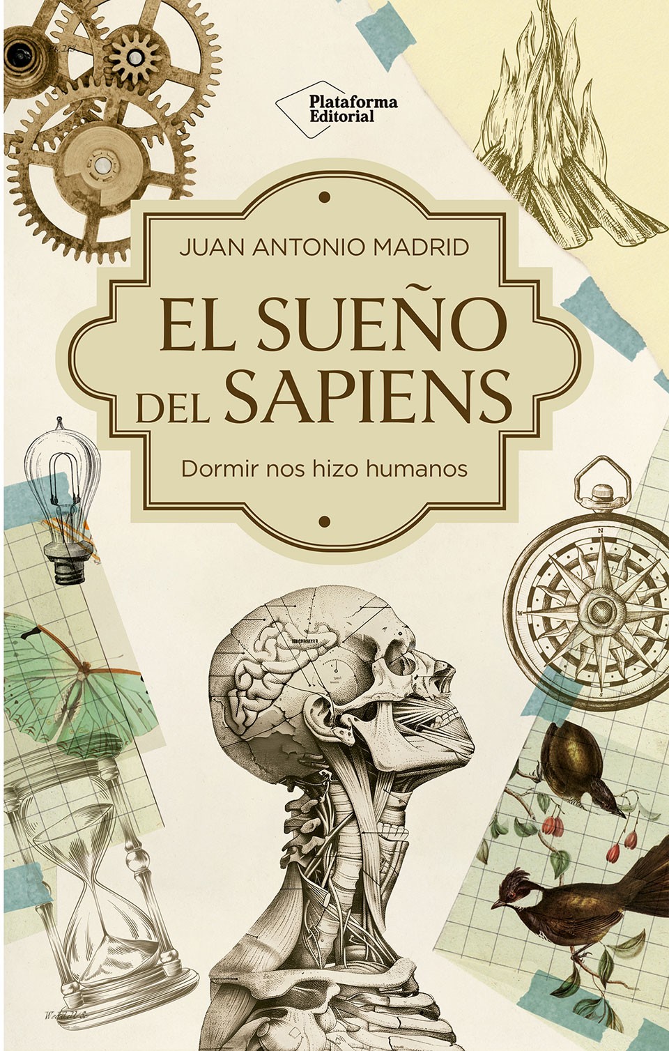 Sueño del Sapiens, El